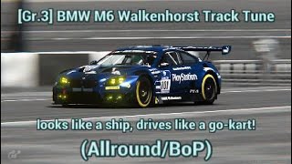 Gr3 BMW M6 Walkenhorst Track Tune AllroundBoP [upl. by Accber]