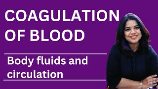 Understanding Blood Coagulation Key Concepts from NCERT Class 11 Biology [upl. by Beaner]