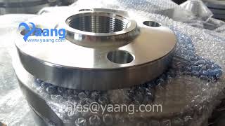 ANSI B165 304L Threaded Flange RF 2 Inch CL150 [upl. by Rennie]