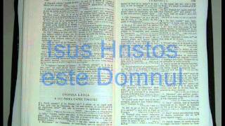 16  2  TIMOTEI  Noul Testament  Biblia Audio Romana [upl. by O'Carroll274]