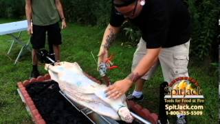 Injecting a Whole Hog with Marinade Using a SpitJack Meat Injector [upl. by Abrahamsen]