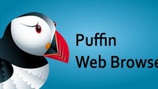 Puffin Web Browser Mod Apk  Bedava Nasıl Kullanılır [upl. by Enorahs761]