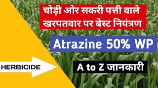 Atrazine 50WP फॉर्मुलेशन में । Best Herbicide। पूरी जानकारी के साथ। [upl. by Shantha]