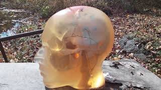 Mossberg 410 vs ballistic gel human head [upl. by Gert]