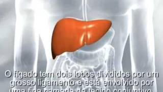 O que é a Hepatite [upl. by Dorothy]