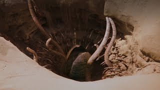 The Sarlacc Pit with Unused Score  Star Wars Return of the Jedi [upl. by Rockwood]