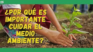 ¿Por qué es importante CUIDAR EL MEDIO AMBIENTE VIDEO EDUCATIVO 📚 [upl. by Wilkie]