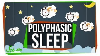 What Do Scientists Really Know About Polyphasic Sleep [upl. by Martino]