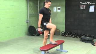 Free weight exercises  Dumbbell Step Up [upl. by Yonita693]