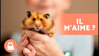 Comment SAVOIR si mon HAMSTER mAIME  🐹 5 Signaux [upl. by Ihskaneem]