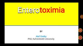 Enterotoxemia [upl. by Roland637]