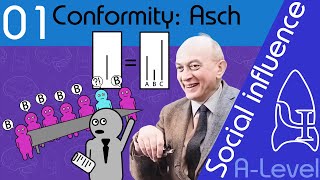 Asch Conformity  Social influence  A Level Psychology [upl. by Ibson]