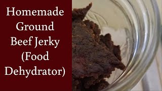 EASY Homemade Ground Beef Jerky in a Food Dehydrator [upl. by Drofyar598]