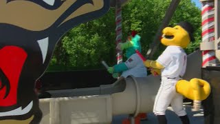 Timber Rattlers pay homage to Brewers debut new slide for fans to enjoy [upl. by Brosy]