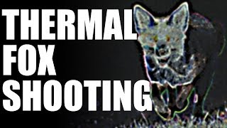 Fieldsports Britain  Thermal fox shooting [upl. by Nyletac]