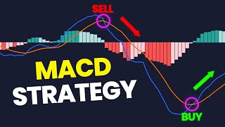 Most Effective MACD Trading Strategy High Winrate Strategy [upl. by Drolet]