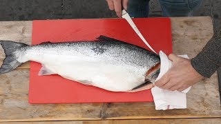 How To FILET a WHOLE SALMON   Easy to do [upl. by Narayan]