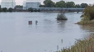 Wien Hochwasser Neue Donau bei Wehr 2 15092024 [upl. by Arinay]