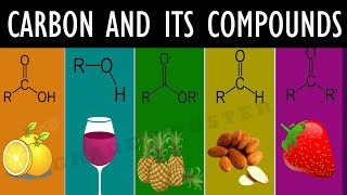 The Global Carbon Cycle Crash Course Chemistry 46 [upl. by Ylrac]