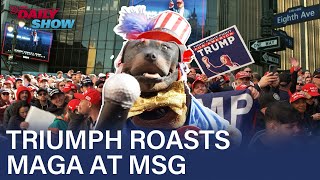 Triumph the Insult Comic Dog Roasts Trump Supporters At His MSG Rally  The Daily Show [upl. by Rosario]