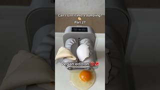 Can I turn it into a dumpling 🥟😨part 27 dumplings cooking food funny [upl. by Denice]