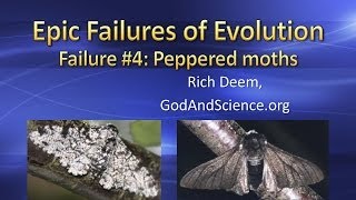 Failures of Evolution Peppered Moth [upl. by Lund]