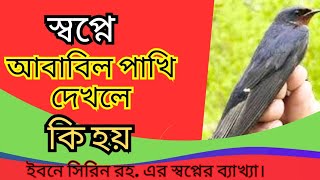 স্বপ্নে আবাবিল পাখি দেখলে কি হয়  Shopne ababil pakhi dekhle ki hoy Dream meaning of bird birds [upl. by Aissatan217]