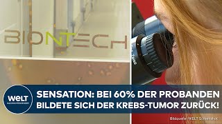 KREBSIMPFSTOFF von BioNTech Studie liefert erstaunliche Ergebnisse  Tumore wachsen nicht weiter [upl. by Rhona]