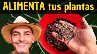 ABONO NATURAL PARA TU JARDÍN  FERTILIZANTE NATURAL PARA TUS PLANTAS  Alimento casero para plantas [upl. by Adena793]