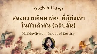 Pick a Card แอบส่องความคิดดาร์กๆ ในหัวเค้า ที่มีต่อเรากัน 😎🦋  Hui Mayflower [upl. by Salohcin]