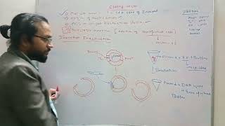 pBR322 plasmid vector And selection of recombinant cell Replica plate methods Lecture5 [upl. by Drislane]