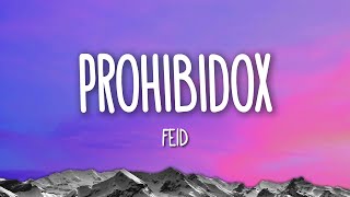 Feid  Prohibidox LetraLyrics [upl. by Theodosia]