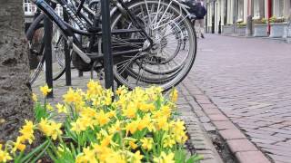 Escorted Tour of Holland  The Camping and Caravanning Club [upl. by Ranita]