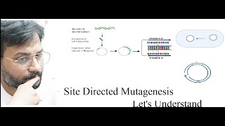 Agarose Gel Electrophoresis of DNA fragments amplified using PCR [upl. by Halladba]