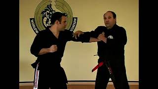 Kenpo Karate Snapping Twig Techniques [upl. by Herwick462]