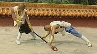 Shaolin Kung Fu weapon cane vs spear duet [upl. by Tomchay892]