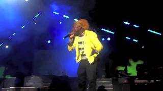 Sumfest ExclusiveUsher Chris Brown Elephant Man Performance [upl. by Aissela]