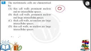 The meristematic cells are characterised by [upl. by Eiralc]