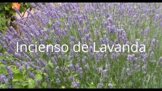 Cómo hacer INCIENSO de LAVANDA Tutorial [upl. by Halyk]