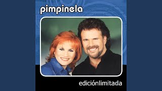 Olvídame Y Pega La Vuelta  Pimpinela [upl. by Abner]