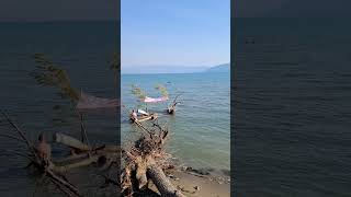 Wild beach Zvernec Vlore Albania [upl. by Eanehs]