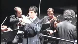 J HAYDN concerto per tr e orch ENRICO NEGRO I° mov [upl. by Hulbert839]