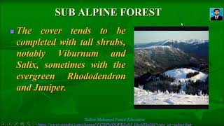 Sub Alpine Forest Of Pakistan  Forest Education [upl. by Affer]