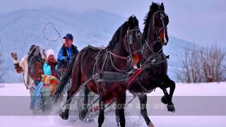 SLEIGH RIDE  The Carpenters Lyrics [upl. by Ayad]