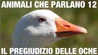 ANIMALI CHE PARLANO – Il pregiudizio delle oche [upl. by Yentruocal]