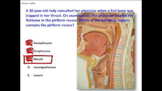 Where is the piriform recess located [upl. by Weide]