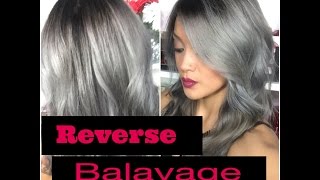 Reverse Balayage Tutorial [upl. by Claudian946]