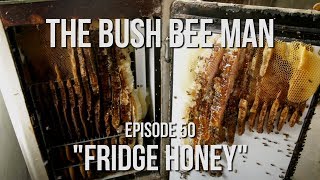 Harvesting Honey from a Fridge  Episode 50 quotFridge Honeyquot [upl. by Erdnassac242]