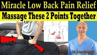 Miracle Massage Technique for Low Back Pain Buttocks amp Sciatica Relief  Dr Alan Mandell DC [upl. by Martinelli]