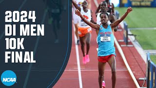 Mens 10K finals  2024 NCAA outdoor track and field championships [upl. by Norahs]